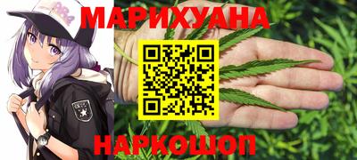 индика Лесосибирск