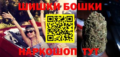 индика Лесосибирск