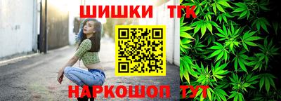 индика Лесосибирск