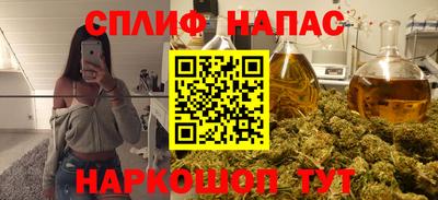 индика Лесосибирск