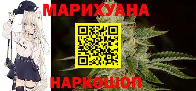 индика Лесосибирск