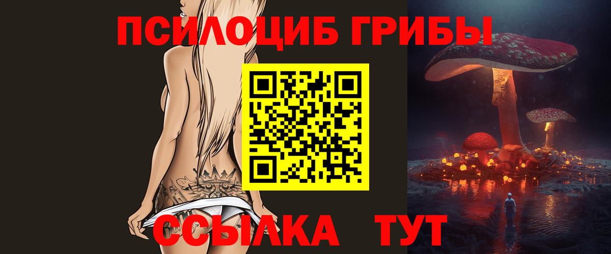 Ижевск  Псилоцибиновые грибы ЛСД  наркотики  Вход с VPN  Псилоцибиновые грибы мухоморы 